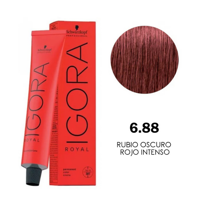 IGORA ROYAL COLORACION 6-88 X 60 GRS